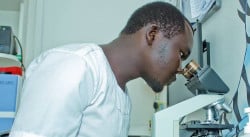 Foto eines Laborangestellten und Mikroskop